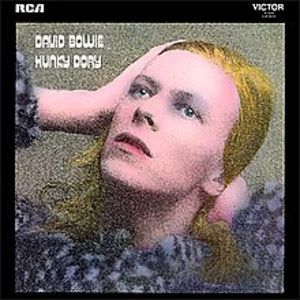 Vans - David Bowie - Hunky Dory